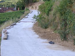 galeria12